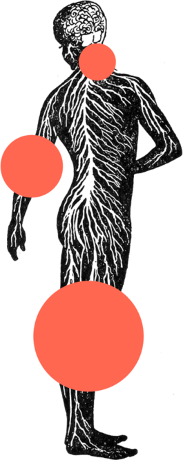 Fyzioterapie Marek Rucki